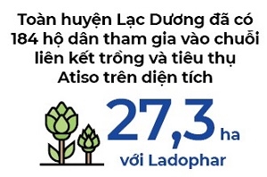 Khai thác mỏ dược liệu việt 2