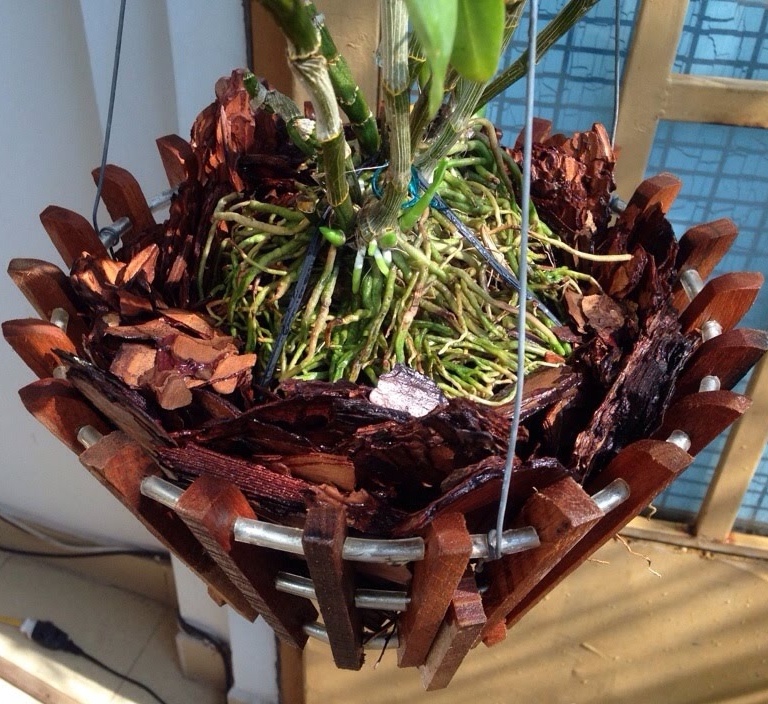 Giá thể trồng lan phù hợp