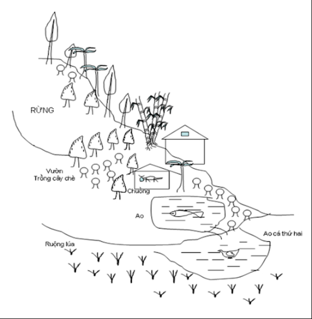 Tổng hợp một số biến thể của mô hình VAC