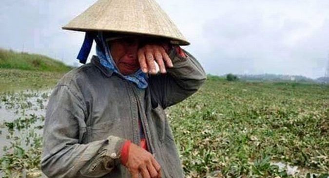 Người nông dân khóc vì bị lỗ vốn