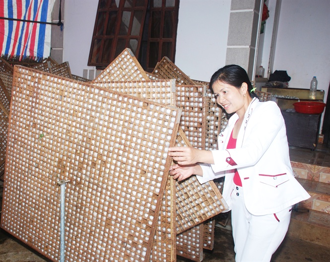 Né nuôi tằm theo công nghệ Nhật