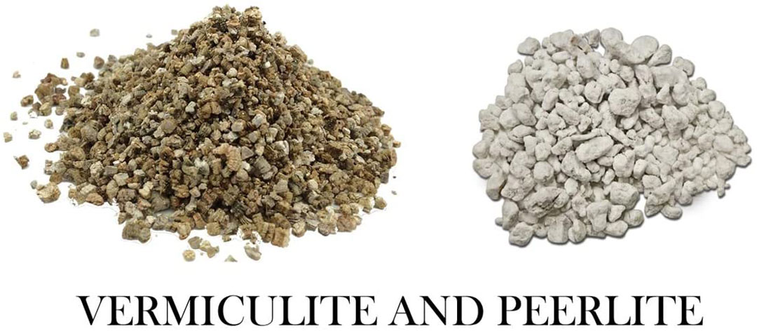 Giá thể trồng cây: Đá Perlite và Vơ mi