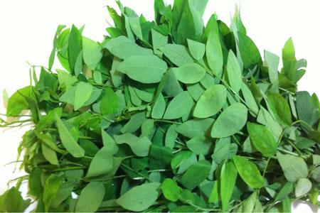 Rau ngót nấu với cua ăn vào mùa hè bao ngon