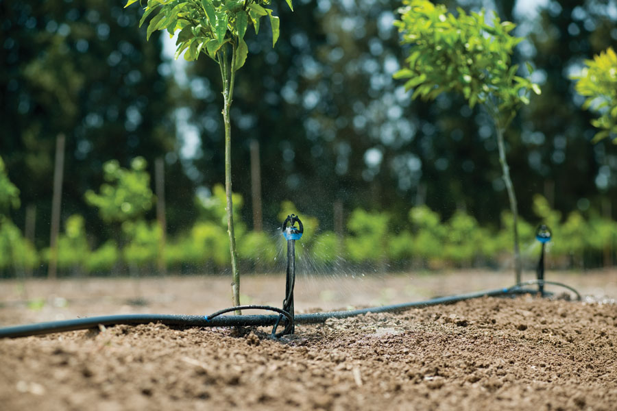 Đánh giá béc tưới S2000