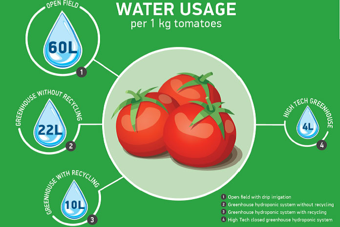 Tiết kiệm nước bằng canh tác thủy canh