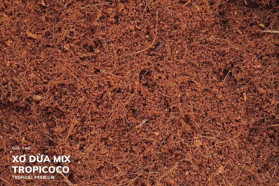 Xơ dừa trộn trồng rau