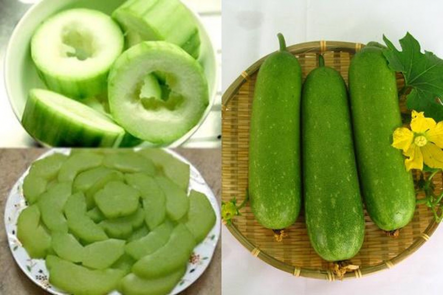 Trồng bí xanh vụ đông