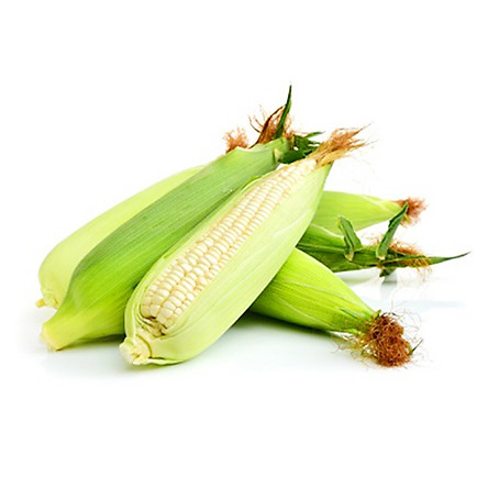 Dụng cụ trồng bắp nếp