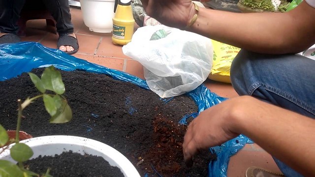 Đất trồng cần được phối trộn trước khi cho vào chậu trồng hoa