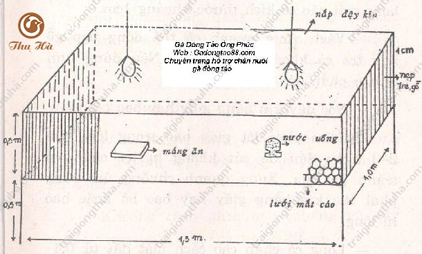 Chuồng nuôi trong kĩ thuật nuôi gà Đông Tảo