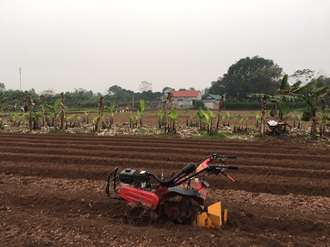 máy cày xới đất