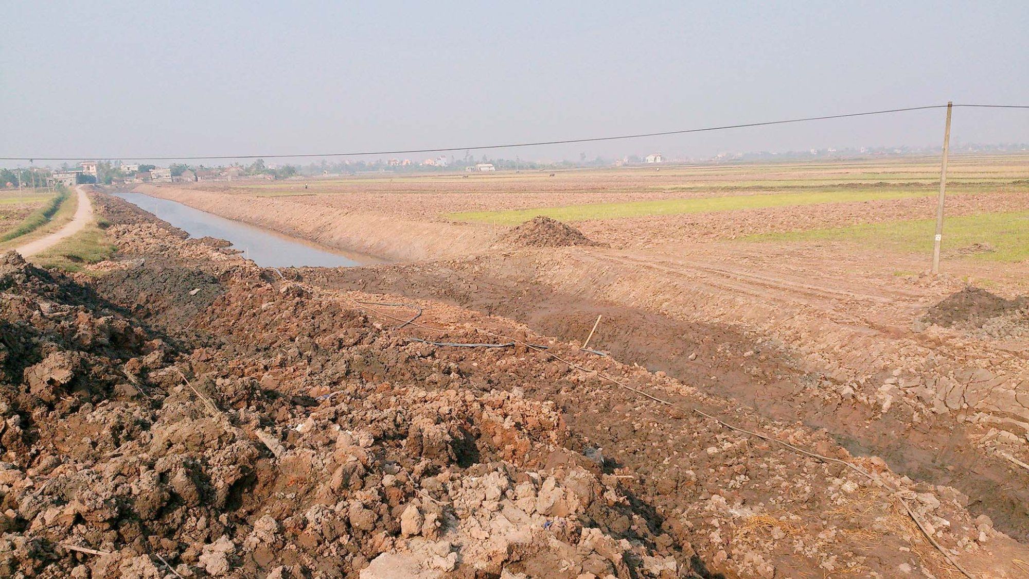 Đất phèn cũng có thể vắt ra tiền tỉ nếu biết cách