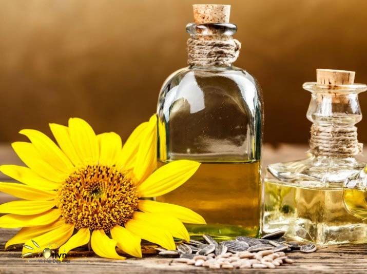 Dầu hoa hướng dương với cuộc sống