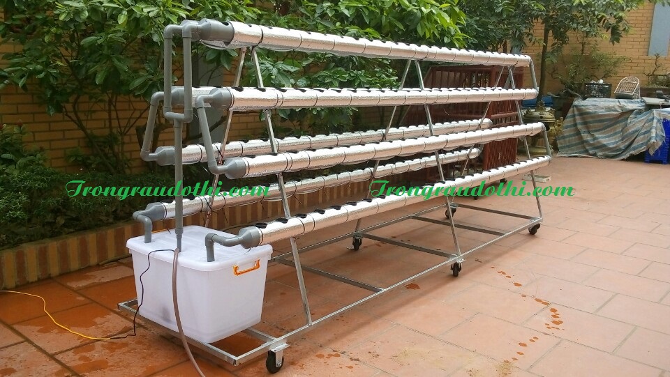 giàn thủy canh chữ A (nguồn: trongraudothi.com)
