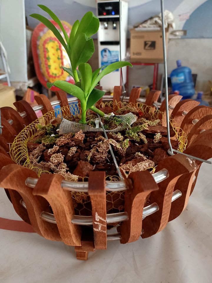 giá thể lan mokara