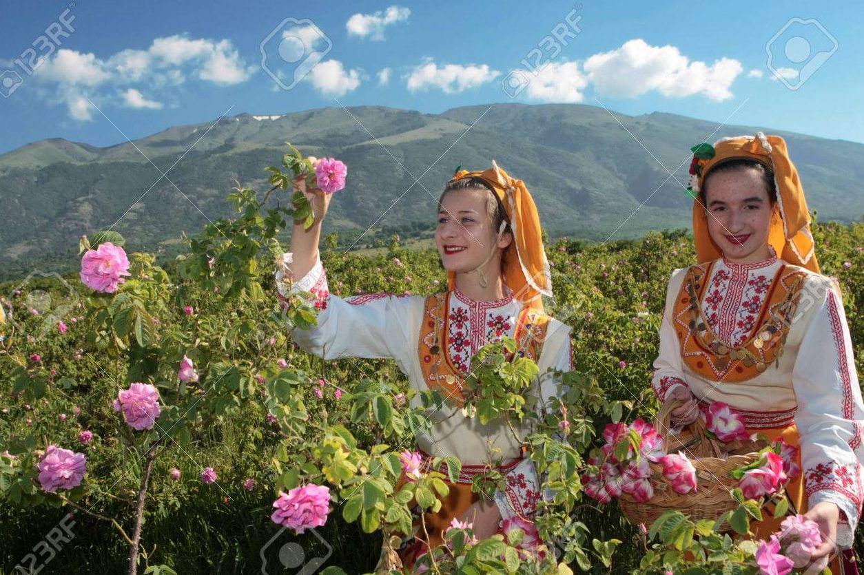 Hoa Hồng vũ khí vạn năng