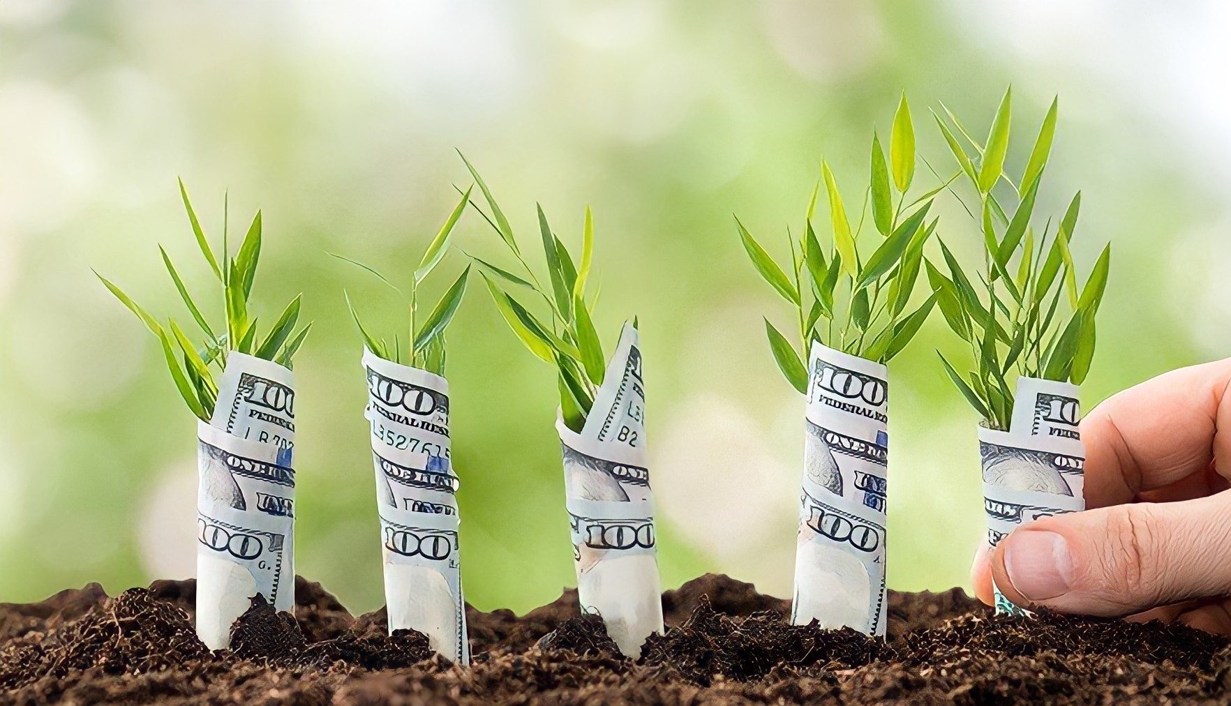 Những nghề làm giàu ở nông thôn bạn nên biết