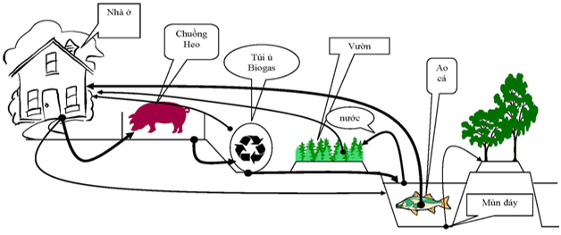 hệ thống khép kín và có mối liên hệ mật thiết với nhau