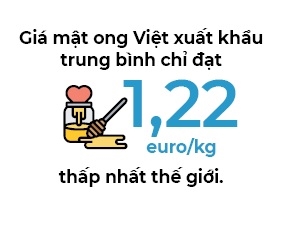Ong mật việt