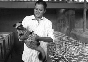 chăm sóc chồn hương