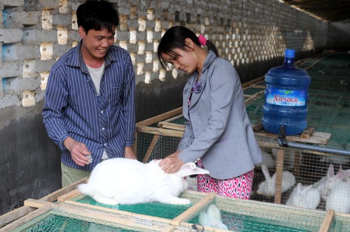 Rảnh tay hơn khi chăn nuôi thỏ 