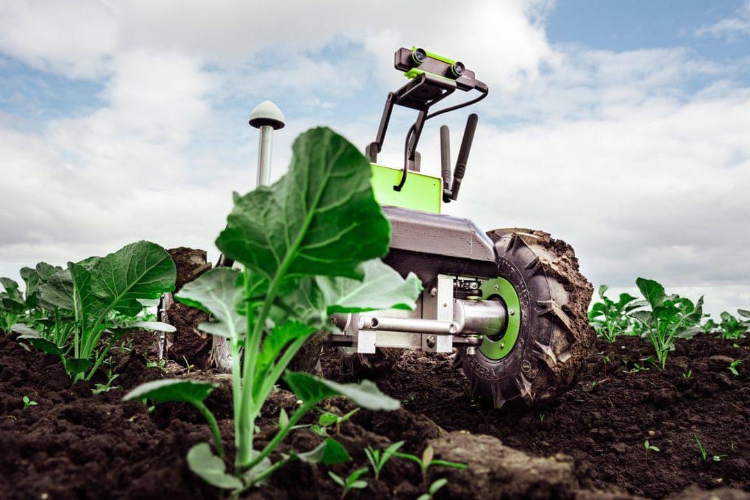 robot nông nghiệp