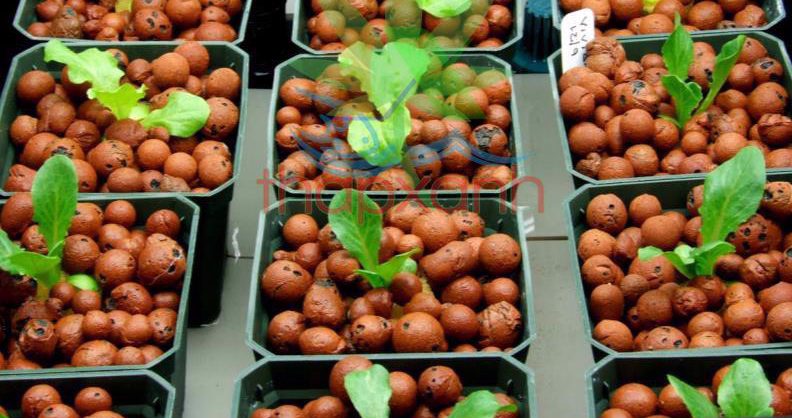 sỏi nhẹ keramzit