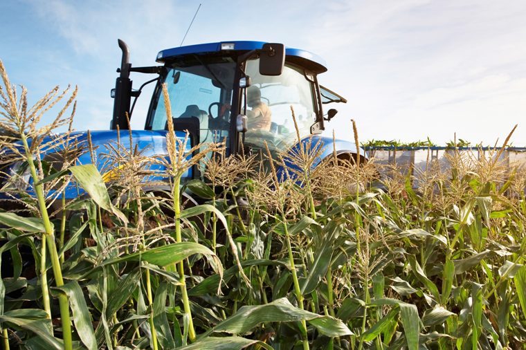 Thiết bị nông nghiệp