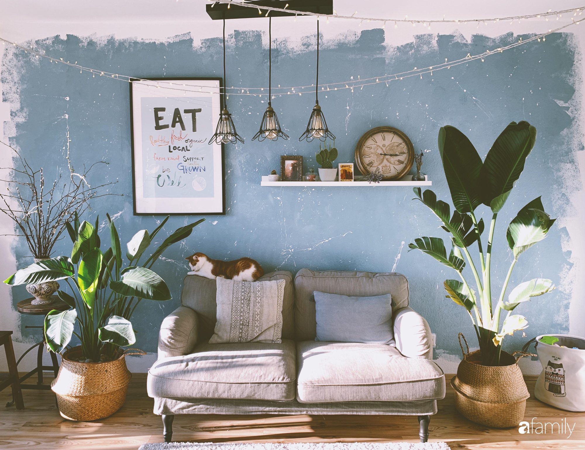 trồng cây gì ít chăm sóc