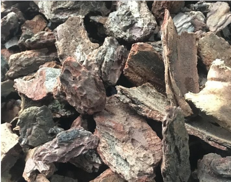 Sử dụng vỏ cây làm giá thể trồng lan