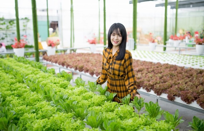 những nghề làm giàu ở nông thôn làgif