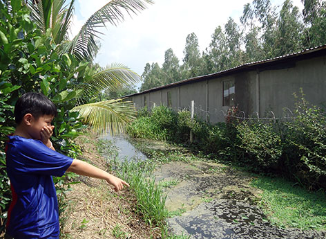 Ô nhiễm từ chất thải chăn nuôi