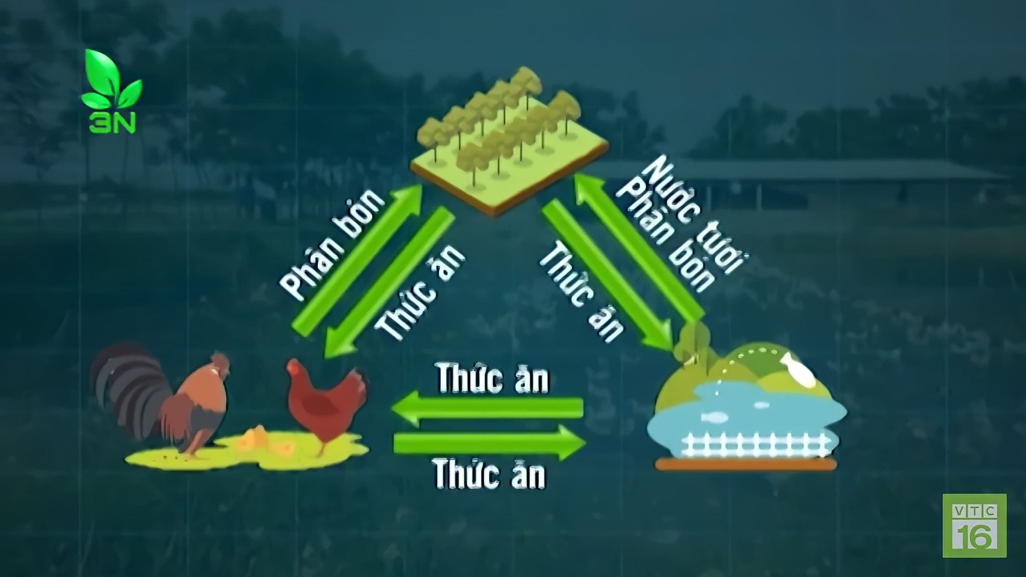 mô hình trang trại tổng hợp