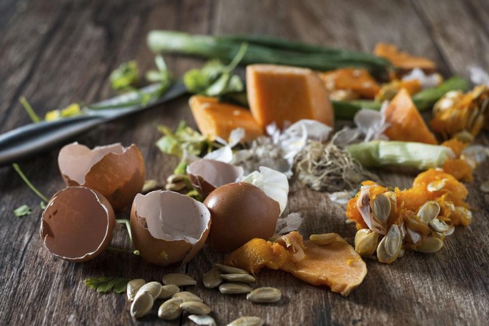 Cách ủ thức ăn cho trùn quế