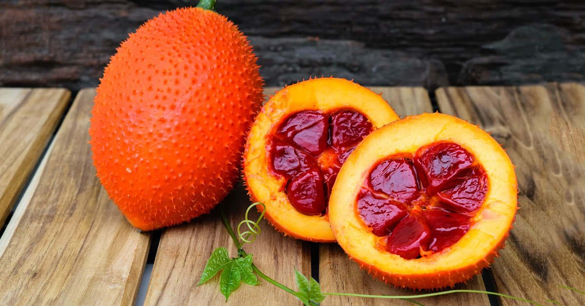 Kỹ thuật trồng gấc bằng hạt