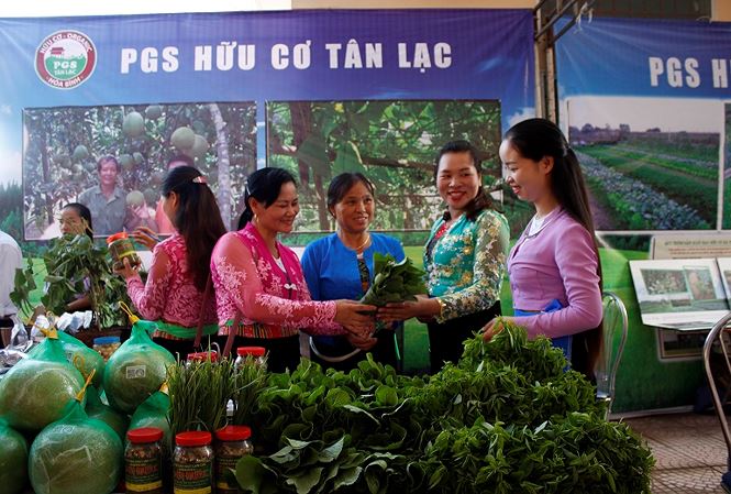 Nông nghiệp hữu cơ xuất khẩu