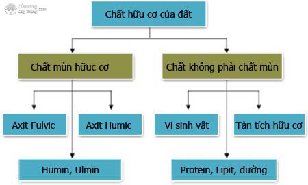 Những chất hữu cơ đã phân giải