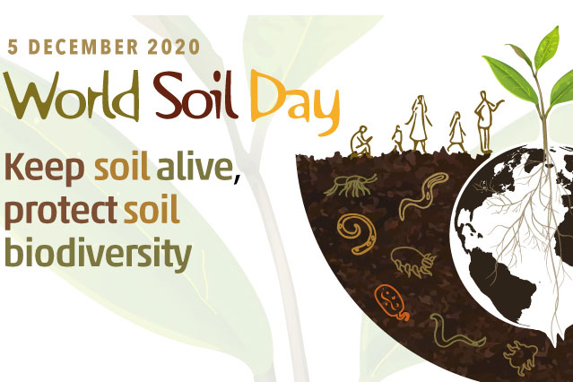 Ngày tài nguyên đất thế giới 2020