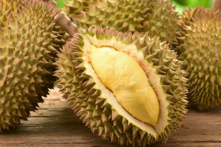 Cách chăm sóc sầu riêng sau thu hoạch