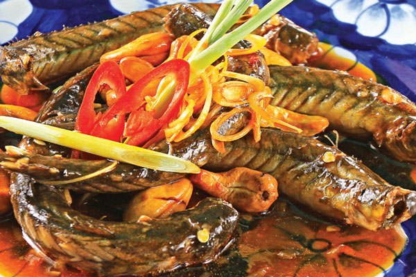 Nuôi cá chạch bùn