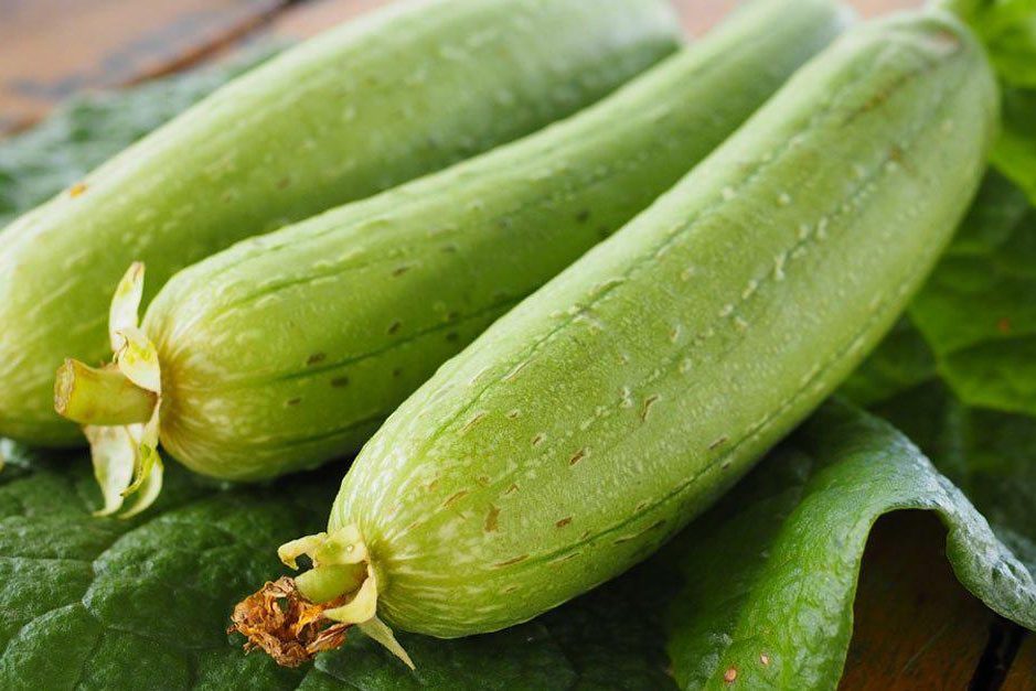 cách chăm sóc mướp hương