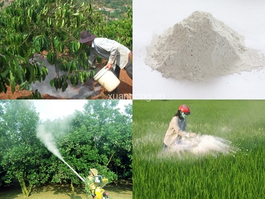 cải tạo đất trồng rau