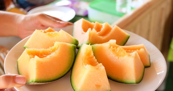 Trồng dưa lưới