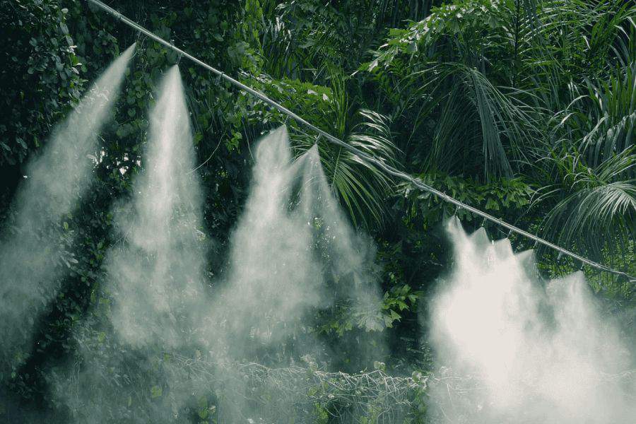 Tươi phun sương hoa lan