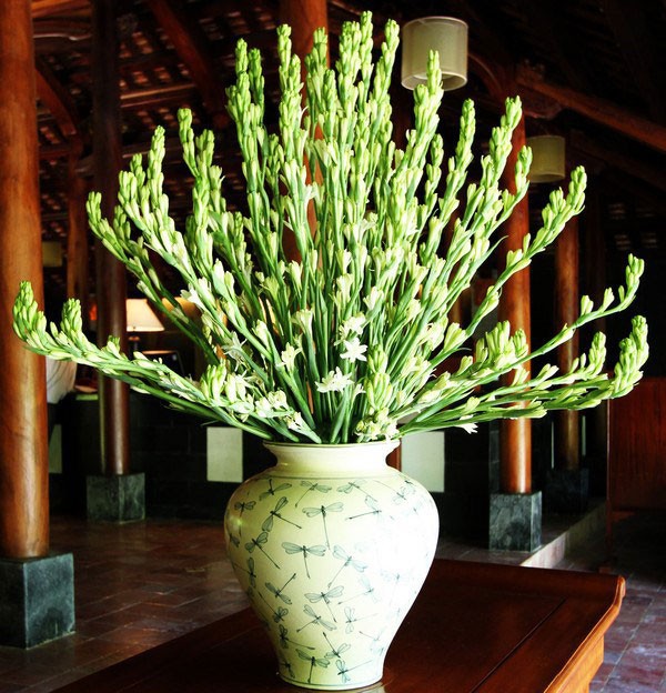 Tết hay Vu Lan huệ trắng được sử dụng nhiều