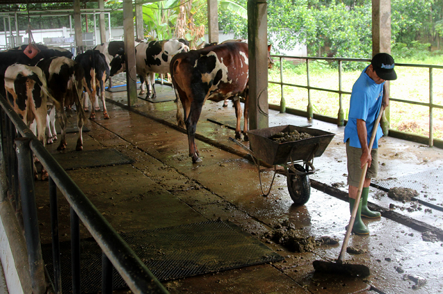 Quy trình xử lý chất thải cần đảm bảo đúng kỹ thuật