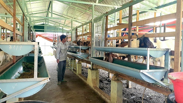 Kỹ Thuật Làm Chuồng Nuôi Dê Đạt Tiêu Chuẩn