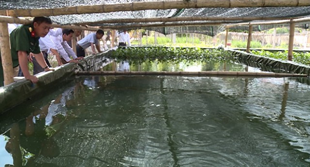 Bà con nông dân thường xuyên kiểm tra để có thể tìm ra bệnh và có cách phòng trừ hợp lý