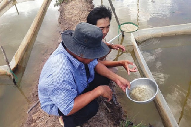 Bà con cần thường xuyên kiểm tra nguồn nước nuôi cá kèo để xử lý kịp thời mầm bệnh