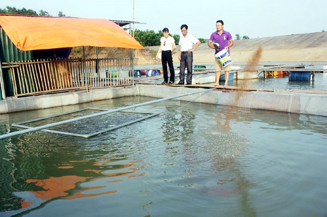 Nên chia nhỏ các bữa ăn trong ngày cho các lăng